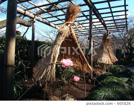 八幡宮神社按鈕 605826