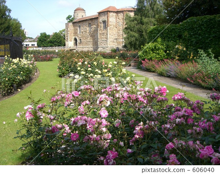 Roses and roses 606040