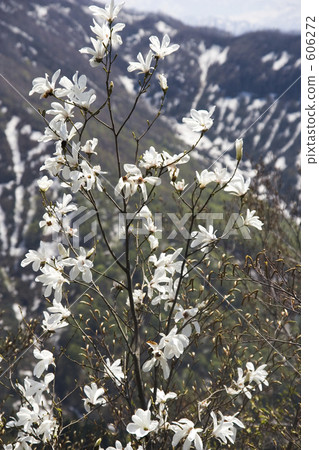 Snowfall and rotunda Snowfall and rotunda 606272
