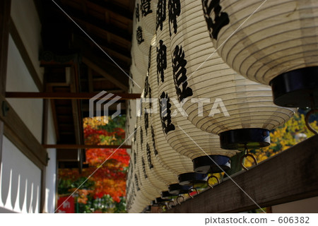 京都Kodaiji 3的秋葉 606382