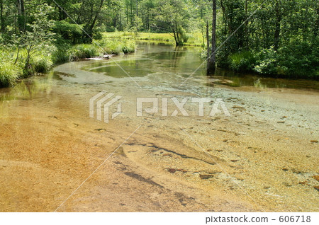 clear stream, river surface, mountain stream 606718