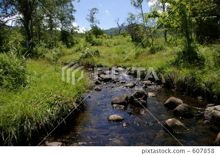 Clear stream Clear stream 607858
