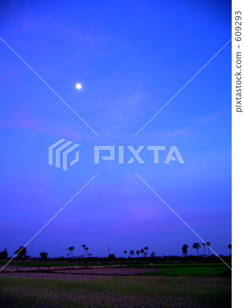 Moonlight of Cambodia 609293