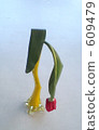 Wilted tulip · · · Shobo-n 609479
