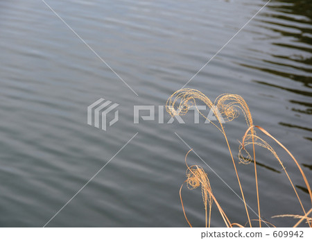 頭掛在水面上 609942