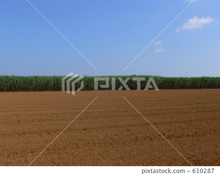 Miyakojima earth and sugarcane field 610287