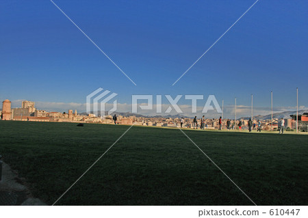 馬賽 草地 草坪 610447