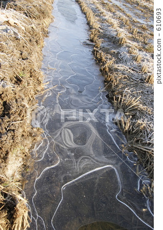 冰面 冰 冰冷 610693