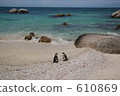Cape Town 003 610869
