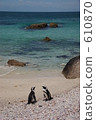 Cape Town 04 610870
