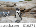 Cape Town 05 610871