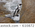 Cape Town 06 610872
