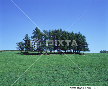 木頭和泥土 611356