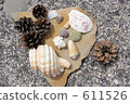 seashell, shell, pine cone 611526