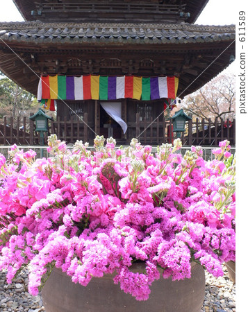 A gorgeous spring day 611589