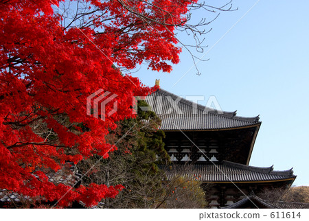 東大寺和秋葉 611614
