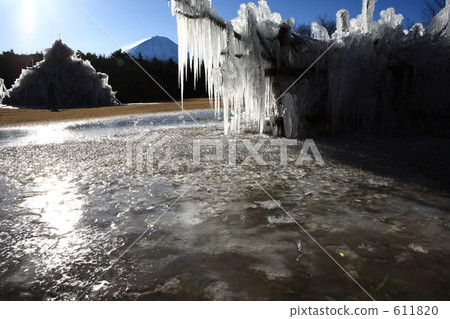 野鳥森林公園 野鳥森林公園 611820