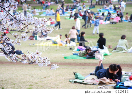 喜歡觀賞櫻花的人 612412