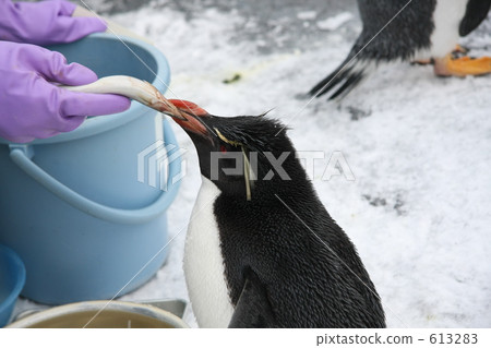 During meal♪ 613283