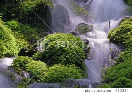Spring of mountain 613354