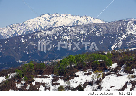 Snow Mt. Naeba 613423