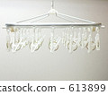Clothespins 613899