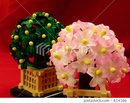 Sakuraba Tini 614166