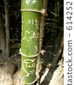 bamboo	 614252