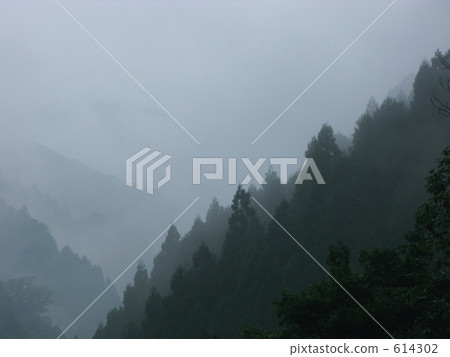 細雨抽煙 細雨抽煙 614302