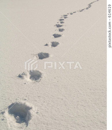 footprint, footmark, snow 614619