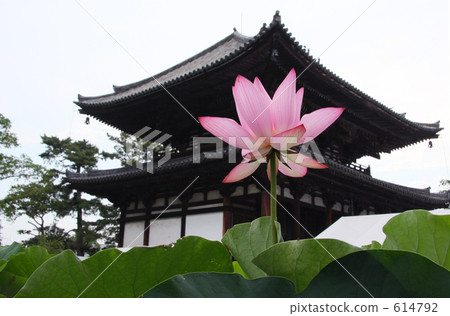 Hualien of Kikoji Hualien of Kikoji 614792