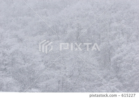 山林 樹木 降雪 615227