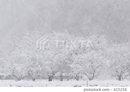 山林 山梨 積雪 615258