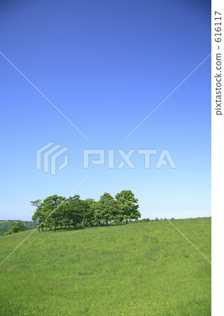 草原樹木 616117
