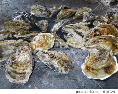 Oyster Grill Oyster Grill 616129