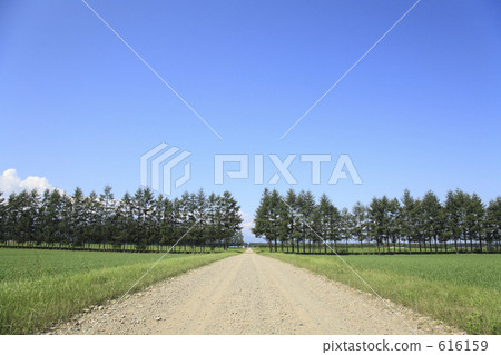 one road one road 616159