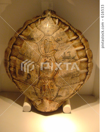 carapace, turtle, behind 616533