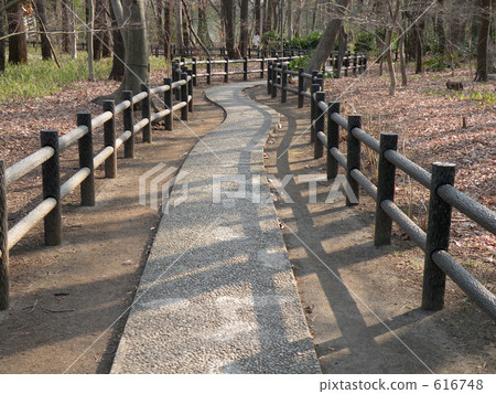 Horse park 616748