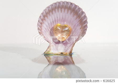 貝類和心臟的天然石材 貝類和心臟的天然石材 616825