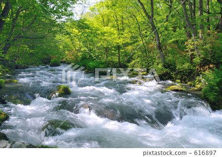 Okuse的流程在1 616897