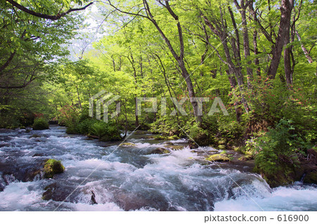 好好注意在流2中 616900