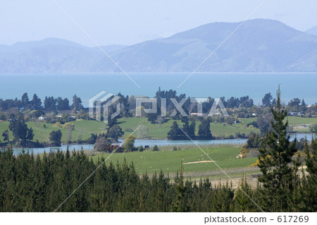 Nature in New Zealand 617269