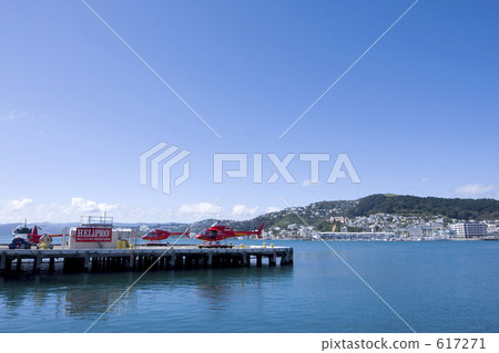 Nature in New Zealand 617271
