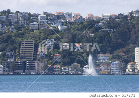 Nature in New Zealand 617273