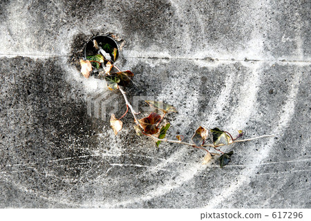 concentric circle, strong, scar 617296