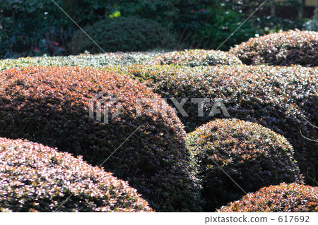 保養 打扮的 配料 617692
