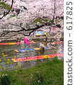 nonbori-arai, washing carp streamers, gojou-gawa river 617825