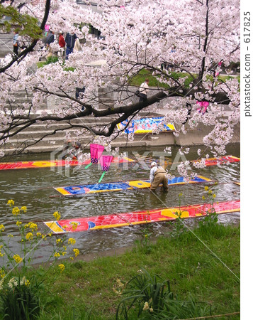 nonbori-arai, washing carp streamers, gojou-gawa river 617825