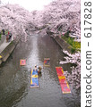 nonbori-arai, washing carp streamers, gojou-gawa river 617828
