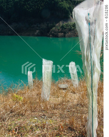Deer damage prevention net Deer damage prevention net 618286
